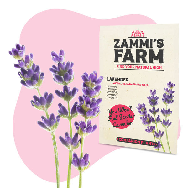 Urtete-frøpakke – Zammi's Farm