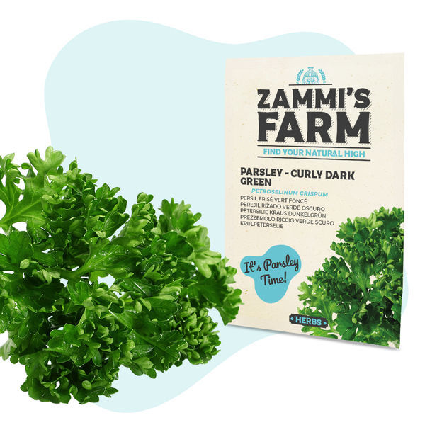 Krydderurtefrøpakke til køkkenet - Zammi's Farm