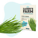 Krydderurtefrøpakke til køkkenet - Zammi's Farm
