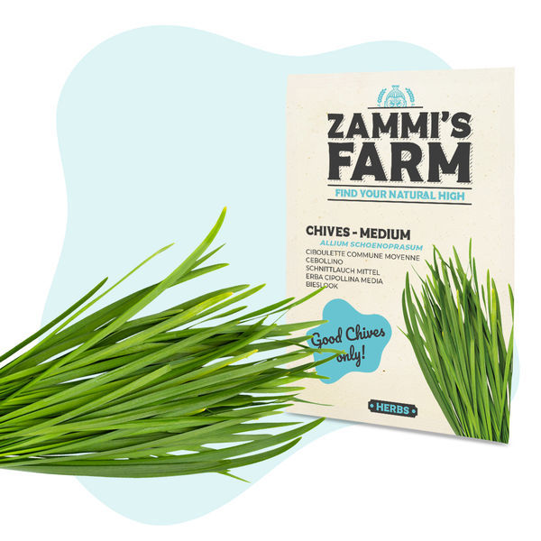 Krydderurtefrøpakke til køkkenet - Zammi's Farm
