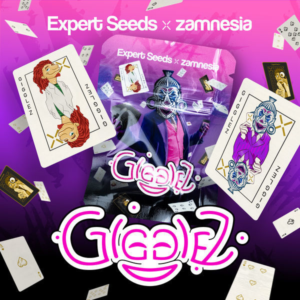 Gigglez (Expert Seeds x Zamnesia) Feminiserede