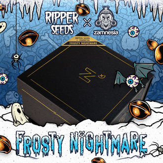 Frosty Nightmare (Ripper Seeds x Zamnesia) Feminiserede
