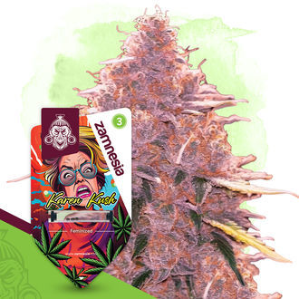 Karen Kush (Zamnesia Seeds) Feminiserede