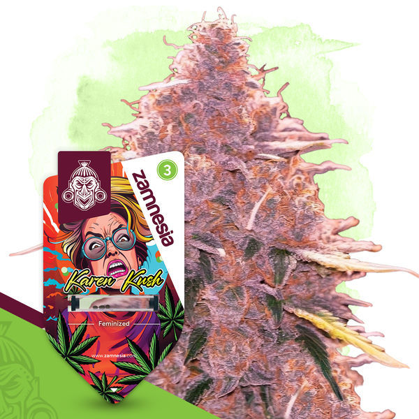 Karen Kush (Zamnesia Seeds) Feminiserede