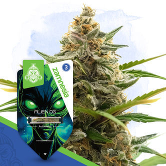 Alien OG Automatic (Zamnesia Seeds) feminiserede cannabisfr&oslash;