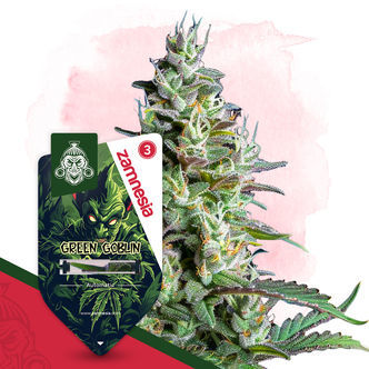 Green Goblin Automatic (Zamnesia Seeds) feminiserede