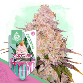 Ice Cream Cake Autoflower (Zamnesia Seeds) Feminiserede