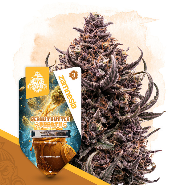 Peanut Butter Breath (Zamnesia Seeds) Feminiserede