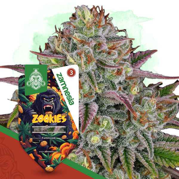 Zookies (Zamnesia Seeds) Feminiserede