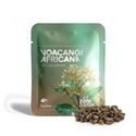 Voacanga africana (5 gram)