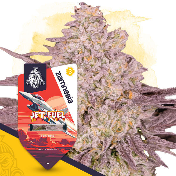 Jet Fuel (Zamnesia Seeds) Feminiserede