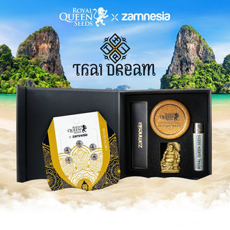 Thai Dream (Royal Queen Seeds x Zamnesia) Feminiserede
