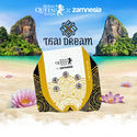 Thai Dream (Royal Queen Seeds x Zamnesia) Feminiserede