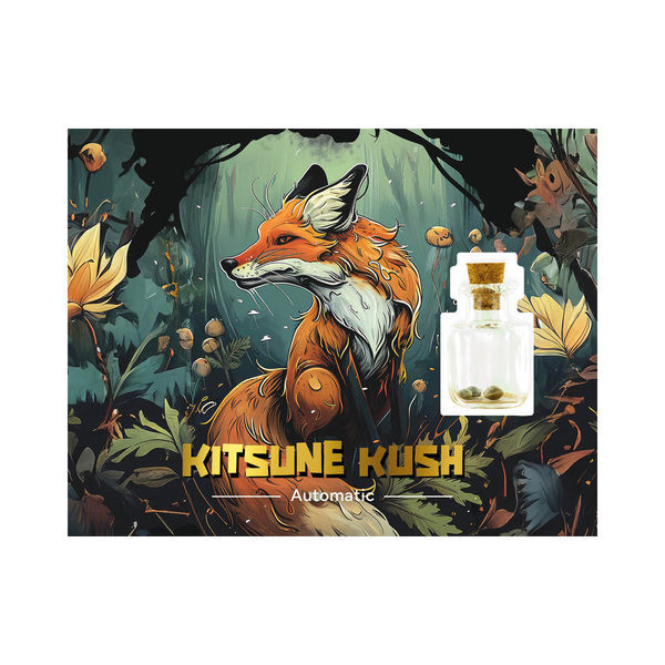 Kitsune Kush Auto (Zamnesia Seeds) Feminiserede