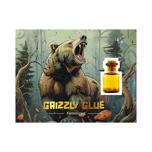 Grizzly Glue (Zamnesia Seeds) Feminiserede