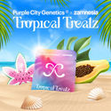 Tropical Treatz (Purple City Genetics x Zamnesia Seeds) Feminiserede
