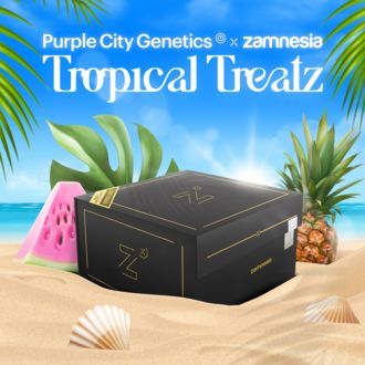 Tropical Treatz (Purple City Genetics x Zamnesia Seeds) Feminiserede