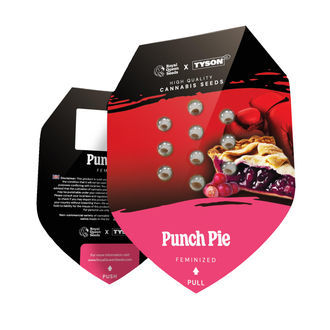 Punch Pie (Royal Queen Seeds) Feminiserede