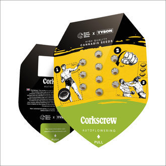 Corkscrew Autoflower (Royal Queen Seeds) Feminiserede