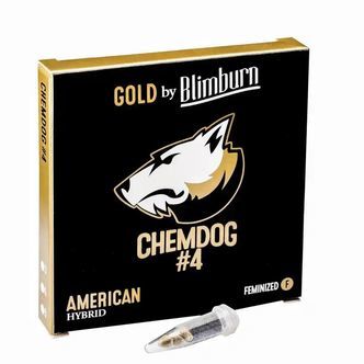 Chemdog 4 (Blimburn Seeds) feminiserede