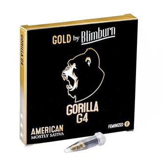 Gorilla Glue 4 (Blimburn Seeds) feminiserede cannabisfr&oslash;
