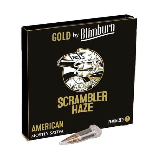 Scrambler Haze (Blimburn Seeds) Feminiserede