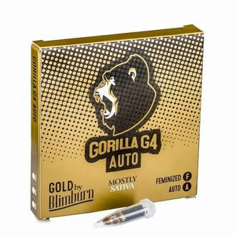 Gorilla Glue 4 Auto (Blimburn Seeds) feminiserede