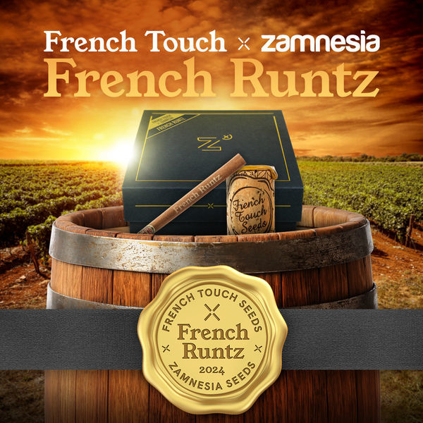 French Runtz (French Touch Seeds x Zamnesia Seeds) Feminiserede