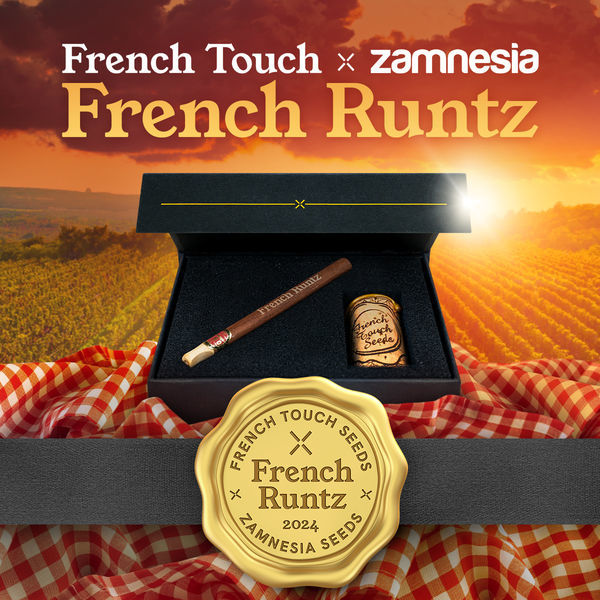 French Runtz (French Touch Seeds x Zamnesia Seeds) Feminiserede