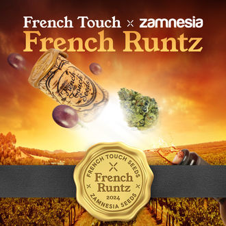 French Runtz (French Touch Seeds x Zamnesia Seeds) Feminiserede