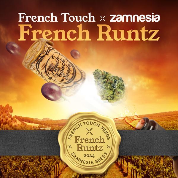 French Runtz (French Touch Seeds x Zamnesia Seeds) Feminiserede