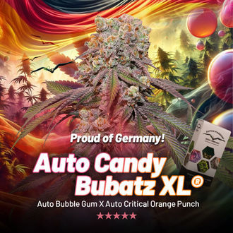 Auto Candy Bubatz XL (Dutch Passion) Feminiserede