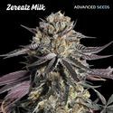 Zerealz Milk (Advanced Seeds) Feminiserede
