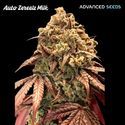 Auto Zerealz Milk (Advanced Seeds) Feminiserede