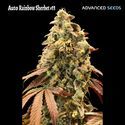 Auto Rainbow Sherbet 11 (Advanced Seeds) Feminiserede