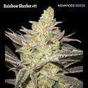 Rainbow Sherbet #11 (Advanced Seeds) Feminiserede