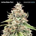 Lemon Bean Fast (Advanced Seeds) Feminiserede