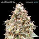 Auto Forbidden Fruit Cake (Advanced Seeds) Feminiserede