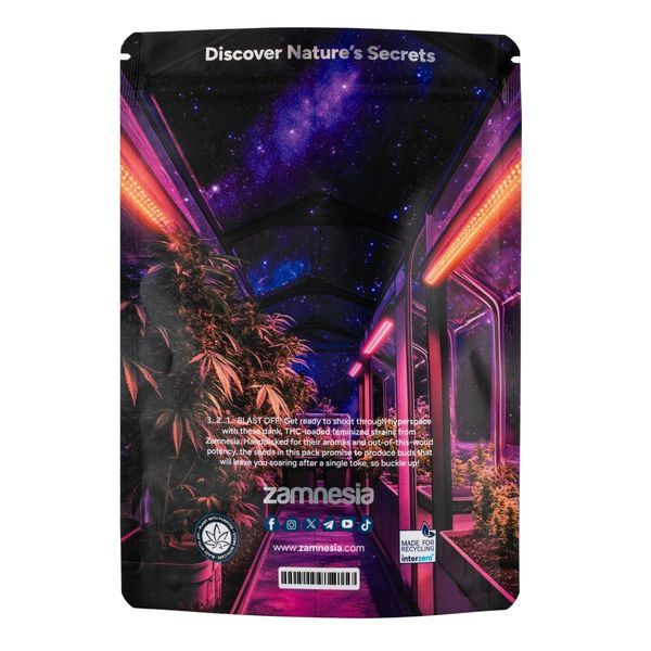 Galactic Delights-pakke - Feminiserede sorter