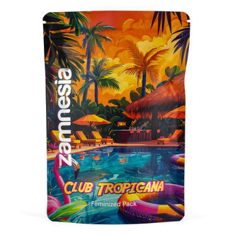 Club Tropicana Pack - Feminiserede sorter