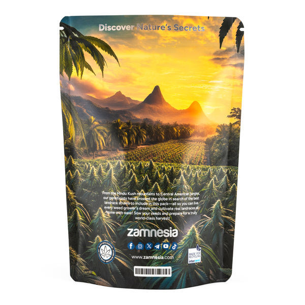 Landrace-pakke - Feminiserede sorter