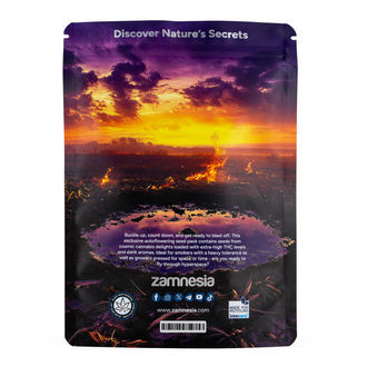 Galactic Delights-pakke - Autoflower-sorter