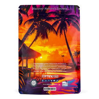Club Tropicana-pakke - Autoflower sorter