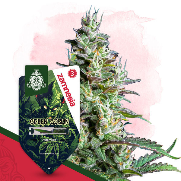 Wild Things-pakke - Autoflower-sorter
