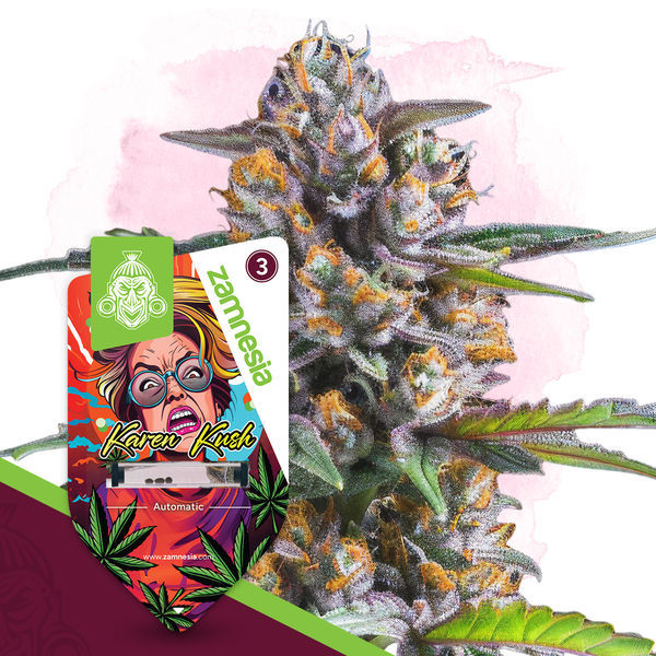 Wild Things-pakke - Autoflower-sorter