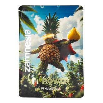 The F1 Power Pack - F1 hybridfr&oslash;