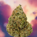 Ice Cream Haze (Dutch Passion) Feminiserede