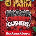Black Cherry Gushers (Barney's Farm x Backpackboyz) Feminiserede