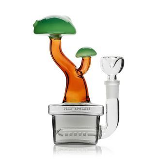 Bonsai-bong (Hemper)