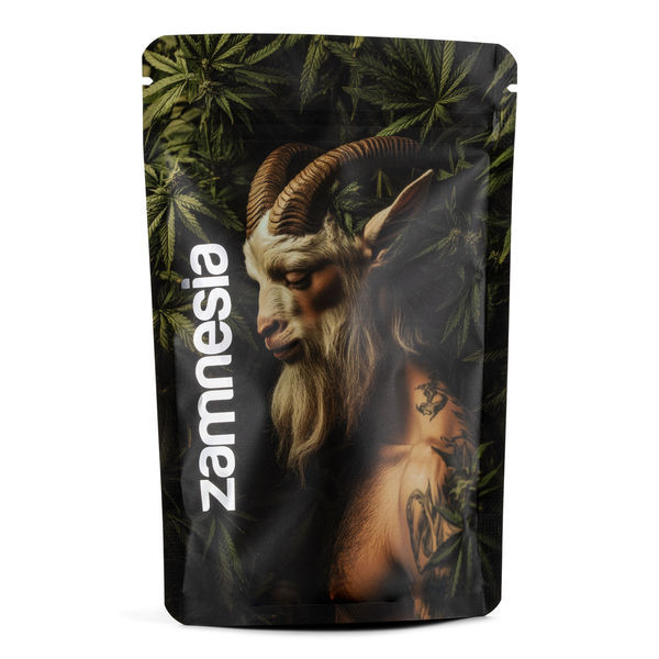 Mythical Creatures Z-Lock Opbevaringspose (Medium)